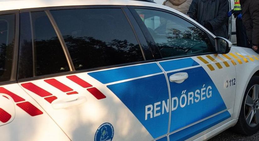 Övtáskában matatott egy fa mögött, hogy ellopja a magyar rendőrkocsit – a papucsa sem mentette meg (VIDEÓ)