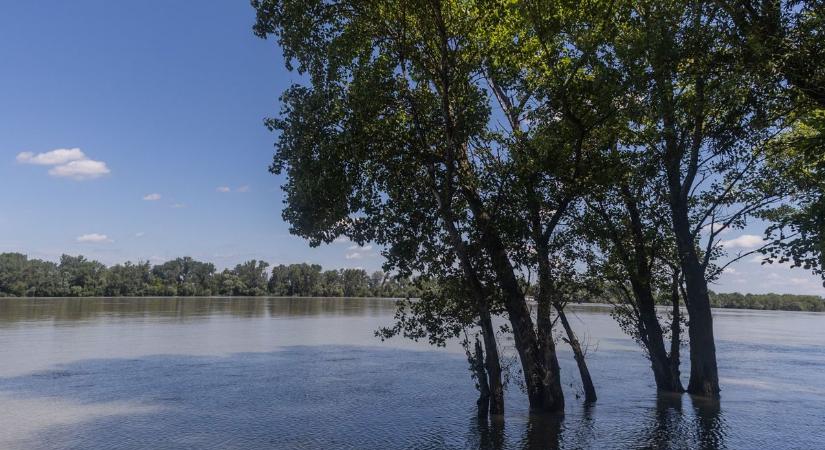 Fotókon a kiöntött Duna - így harapott bele az árhullám az erdőbe