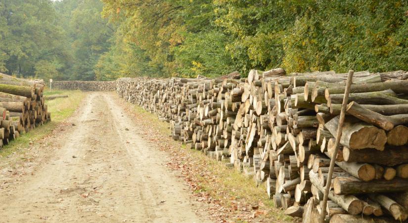46 település kap szociális tűzifát Hajdú-Bihar megyében