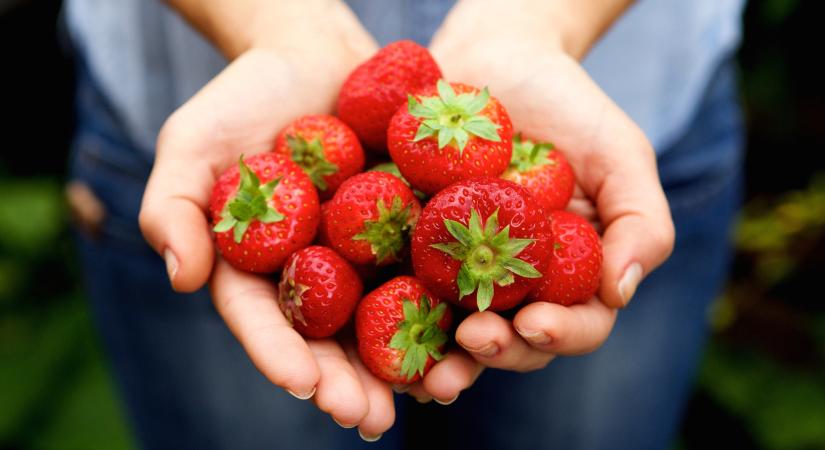 Sem ecet, sem csapvíz: ez a legjobb módja megtisztítani a vegyszerektől az epret