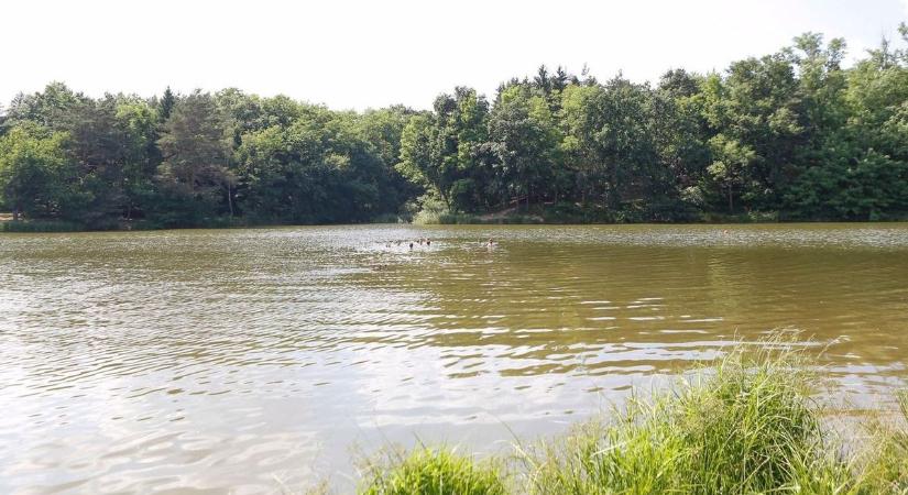 Egyre többen rajonganak ezért a romantikus őrségi tóért - még a vasiak közül sem mindenki ismeri