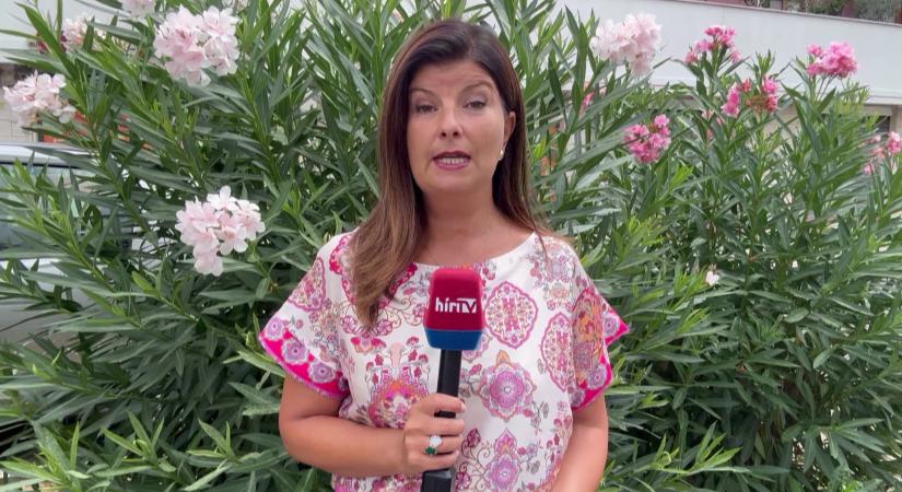 Temetési plakátot függesztettek ki Matteo Salviniről az Izrael-ellenes mozgalmak egy olasz megyében  videó