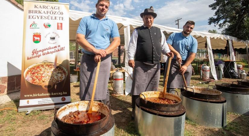 A szürkebarát és a szürke marha ünnepe Badacsonyban (galéria  videó)