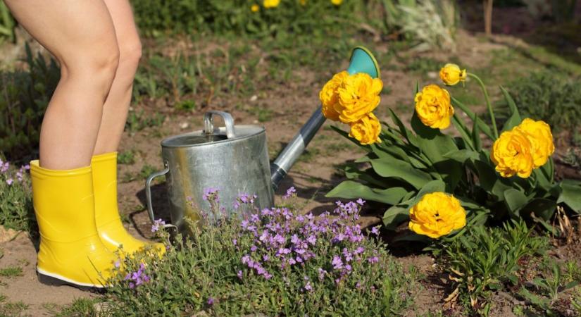 Egy éve ilyenkor: a szomszédok szerint a nagyinak nincs joga meztelenül a kertben bóklásznia