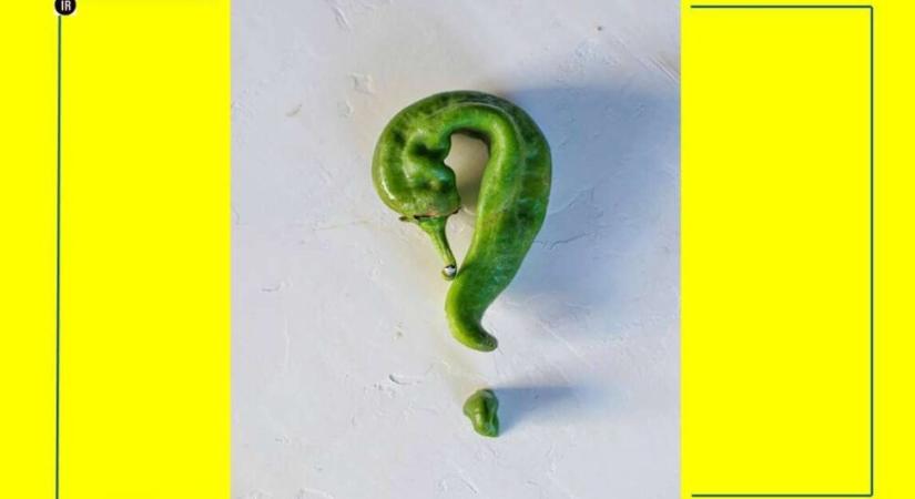 Tudja, mi az: Lidl, Tisza, cipős(nem Nokiás!)doboz? Vasárnap kiderül…..