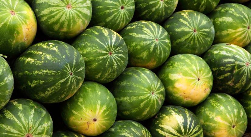 Berobbant a dinnyeszezon: óriási árkülönbségek vannak most az akciók miatt