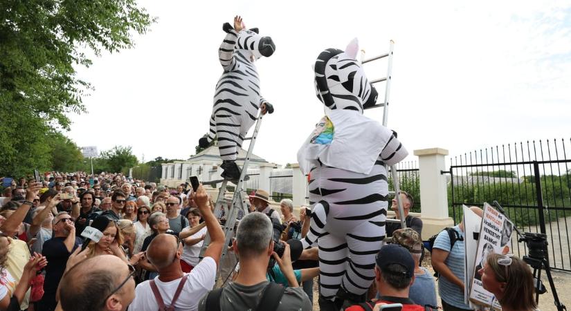 Szafari Hatvanpusztán: Belestünk az Orbán-farmra – videó