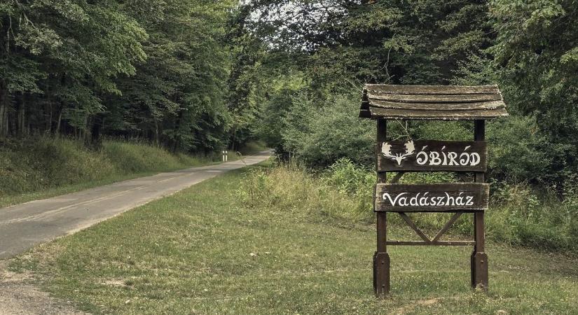 Fedezd fel a tiltott zónát: rendhagyó túra Tamásinál!