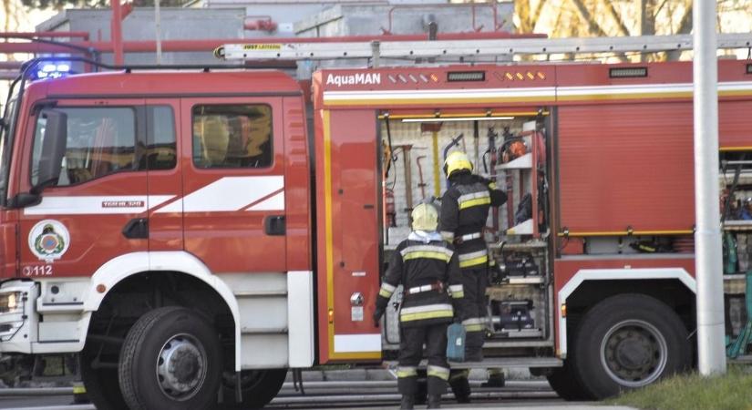 Villanyoszlopnak csapódott egy kisbusz Hajdú-Biharban