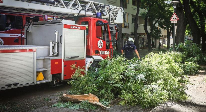 Viharos időszak elé nézünk – tájékoztatást adott ki a katasztrófavédelem