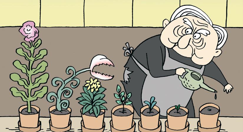 Propaganda helyett: először dolgozhatták fel Sorosék családi levelezését