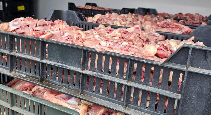 Csirkehússal bukott le a vállalkozó – több mint 4 milliós bírság jöhet