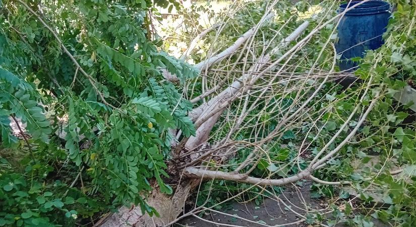Pusztított a szél és a vihar Győr-Moson-Sopronban - fotók