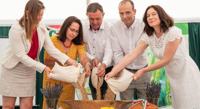 Magyarok Kenyere: Búzaösszeöntés ünnepe a dinnye hazájában