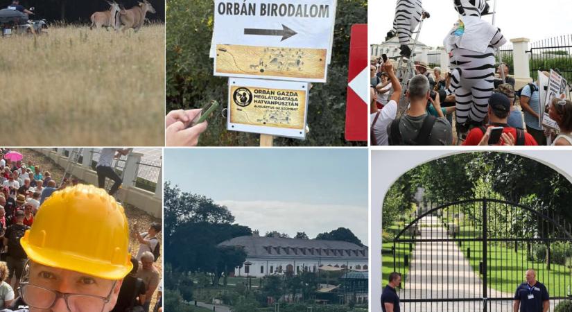 Hiába próbálták elrejteni a zebrákat Hatvanpusztán – Hadházy Ákos beszámolója