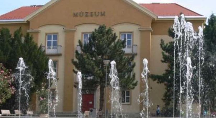 Fontos felhívást tett közzé az Intercisa Múzeum
