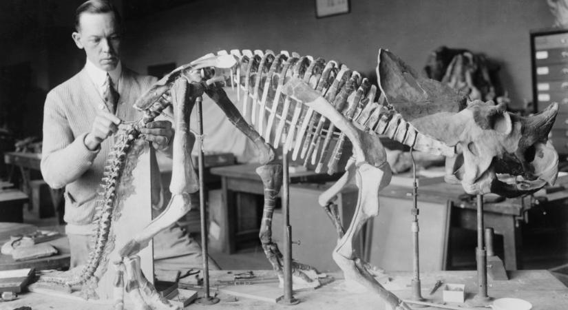 Gyűlölték egymást, de a dinoszauruszokért rajongtak – A két tudós rivalizálása új Jurassic Park filmet is ihlethetne