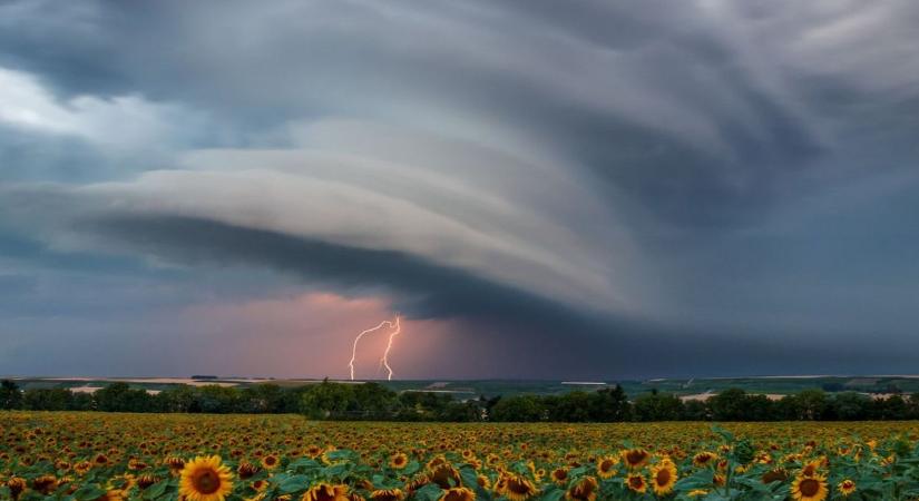 A focihoz ért jobban, vagy az időjáráshoz? Tesztelje itt tudását!