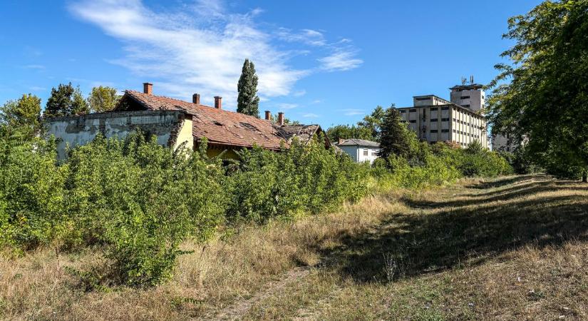 Zöldforradalom Szolnokon, több mint 4 milliárdból születik újjá a belváros
