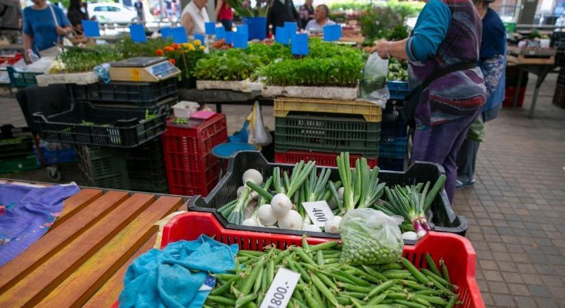 Egészséges, vitamindús és most szuper áron elérhető – ez a kecskeméti piac egyik rejtett kincse