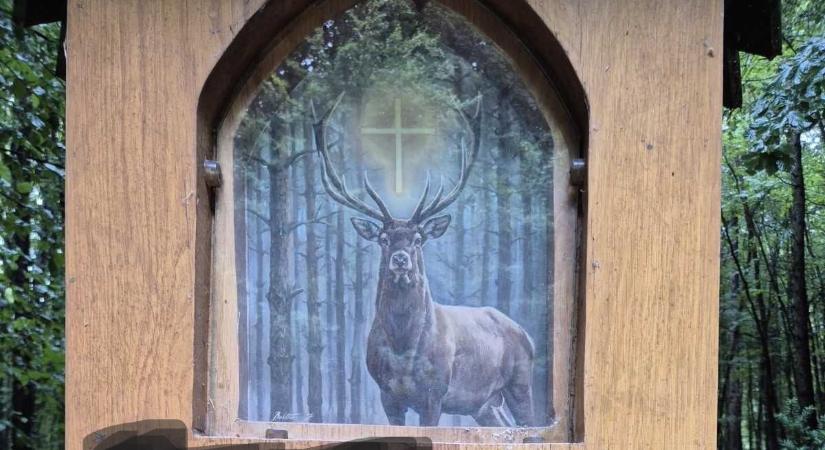 Durva trágárság, nyilvános beszólás – Nagy baja van valakinek a vadászokkal, de miért?