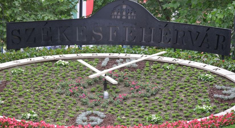 Fehérvári séta szombat reggel