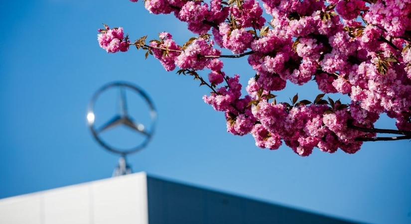 A Forma-1 egyik legismertebb pilótája látogatást tett a kecskeméti Mercedes-gyárban