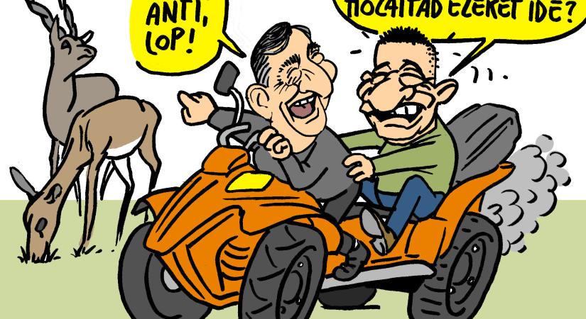 Szafari