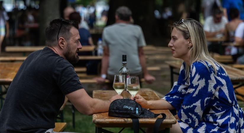 Idén is méltó módon ünnepelték a bort és halat Tatán