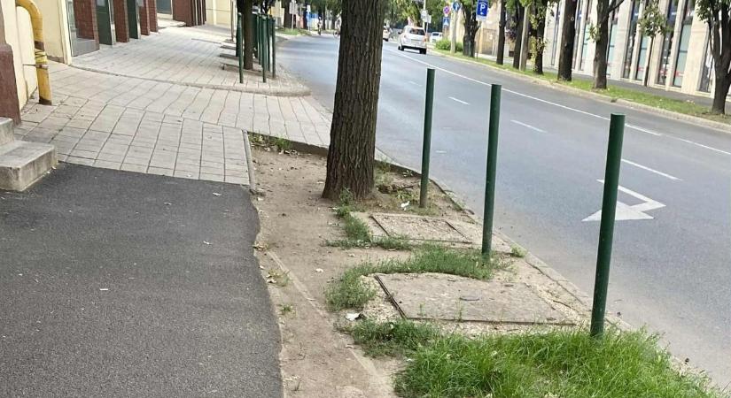 Döbbenet: fényes nappal, a nyílt utcán ököllel ütöttek meg egy bicikliző nőt Debrecenben