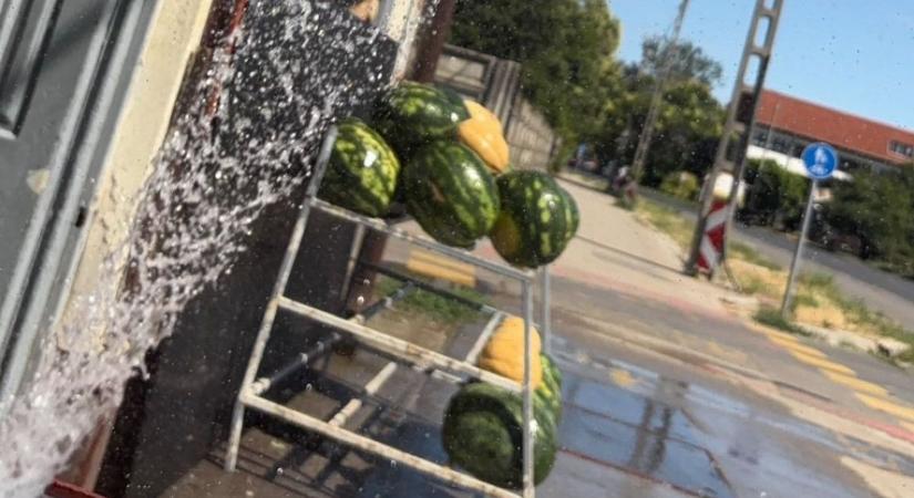 A kreatív szolnoki zöldséges trükkje egyszerre párakapu a vásárlóknak, és hűtés a gyümölcsnek
