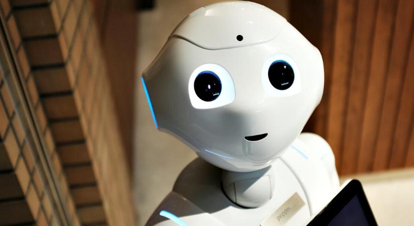 Megdöbbentő: robotok álltak munkába a győri egyetemen – így dolgoznak nap mint nap!