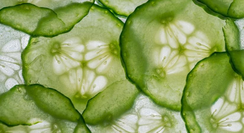 Ukrajnában ideiglenesen emelkedtek az uborkaárak