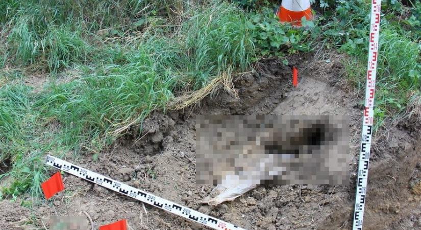 Saját apja darabolhatta fel és ásta el a 2001-ben eltűnt fia holttestét, a hazugságvizsgálaton megbukó volt szeretője mindent bevallott