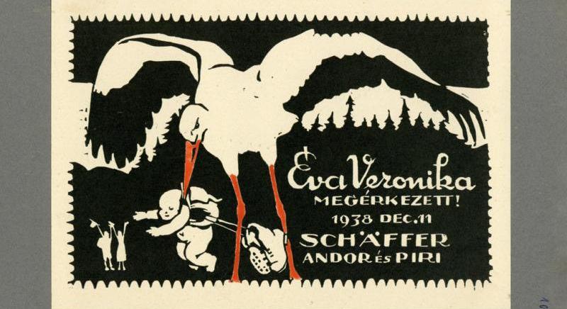 A születési értesítők egy egész családtörténetről mesélnek