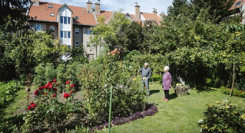 Hogy képes valaki ilyenre? Hihetetlen, mit találtak egy hevesi kert közepén!