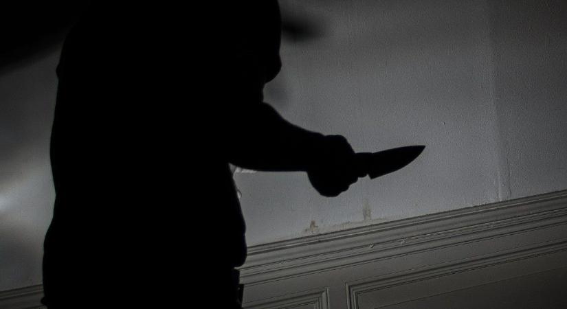 Megkéselte anyját és nagyanyját egy 13 éves gönyűi fiú