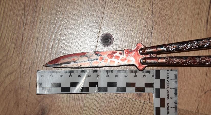 Kis híján halálra késelte anyját és nagymamáját egy 13 éves fiú Gönyűn