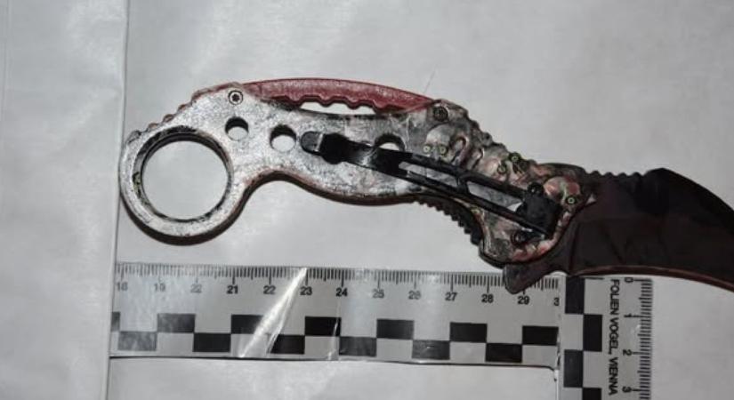 Vérfürdőt rendezett egy 13 éves fiú Gönyűn