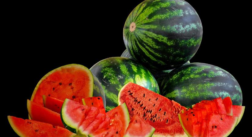 Vége felé jár a dinnyeszezon Lengyelországban