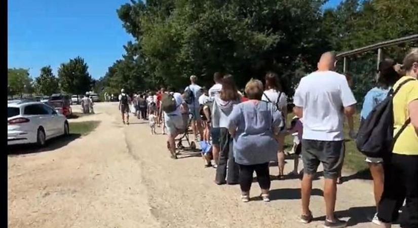 Hatalmas a tömeg a Veszprémi Állatkertben – erre készülj, ha most indulnál (videó)