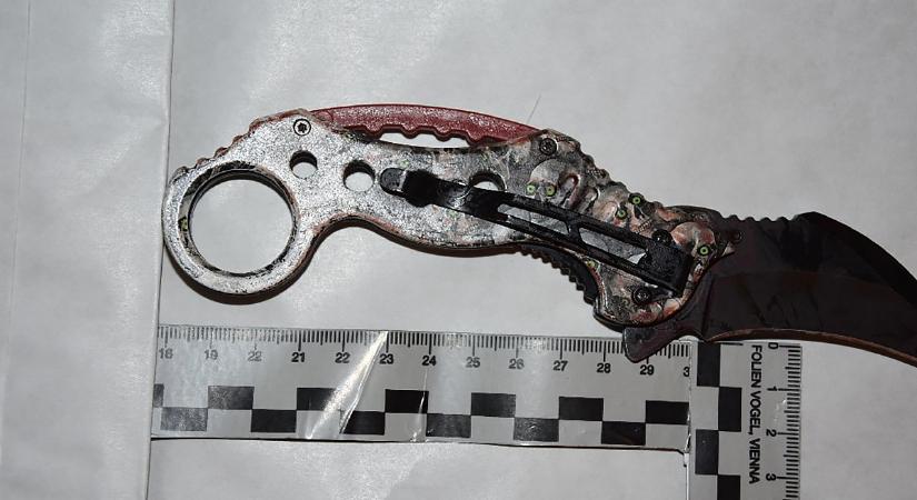 Családi horror: Kis híján megölte az édesanyját és a nagymamáját egy nyolcadikos fiú