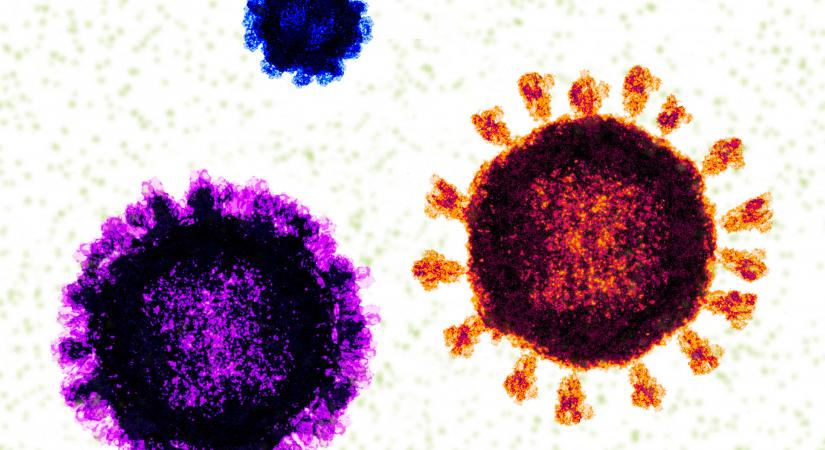 A COVID és az influenza is aktiválhatja a lappangó ráksejteket