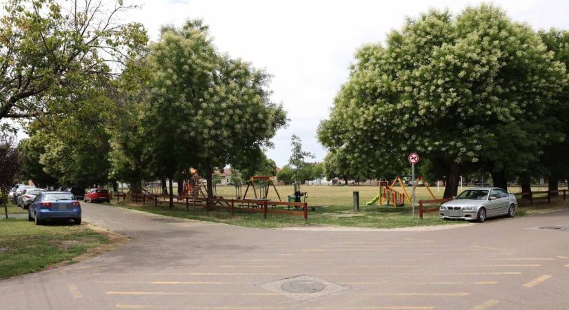 Megújul a Szabadság tér: gyerekparadicsom, modern sportpark épül