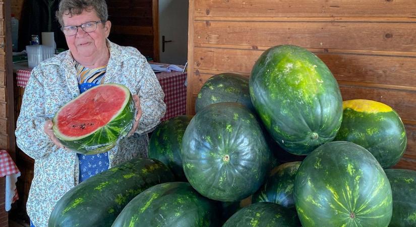 Megdöbbentő, amit az egri dinnyés a lékelésről mondott – nem csoda, hogy eltűnt a szokás a piros-fekete ködben