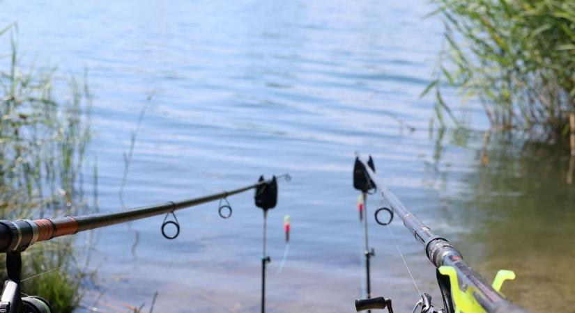 Pontyra várt a Tisza-tavon, de jött a 75 kilós döbbenet – fotón a hal, amilyen nincs is