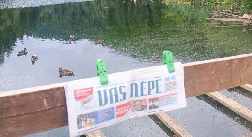Szívünk közepe Erdély – most éppen ott bukkant fel a Vas Népe