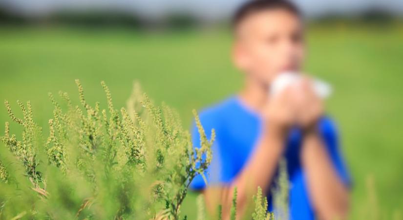 Már a rajtvonalon toporog az utált gyom, közben minden más is a pályán köröz