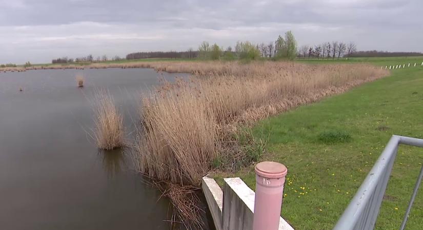 Napindító – Küzdelem a Homokhátság elsivatagodása ellen  videó