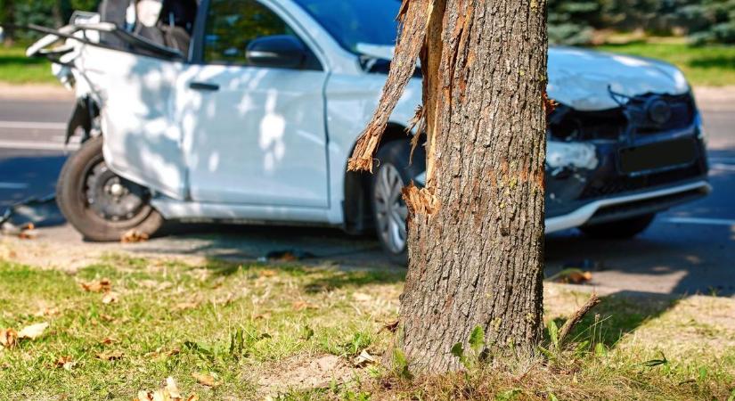 Fának csapódott a kocsi, mentő rohant a baleset sérültjével a kórházba